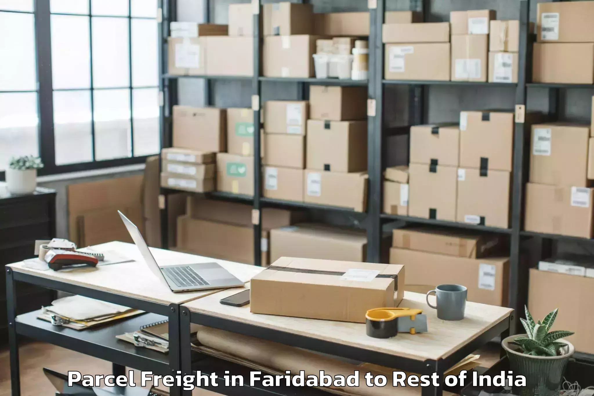 Trusted Faridabad to Srinagar Parcel Freight